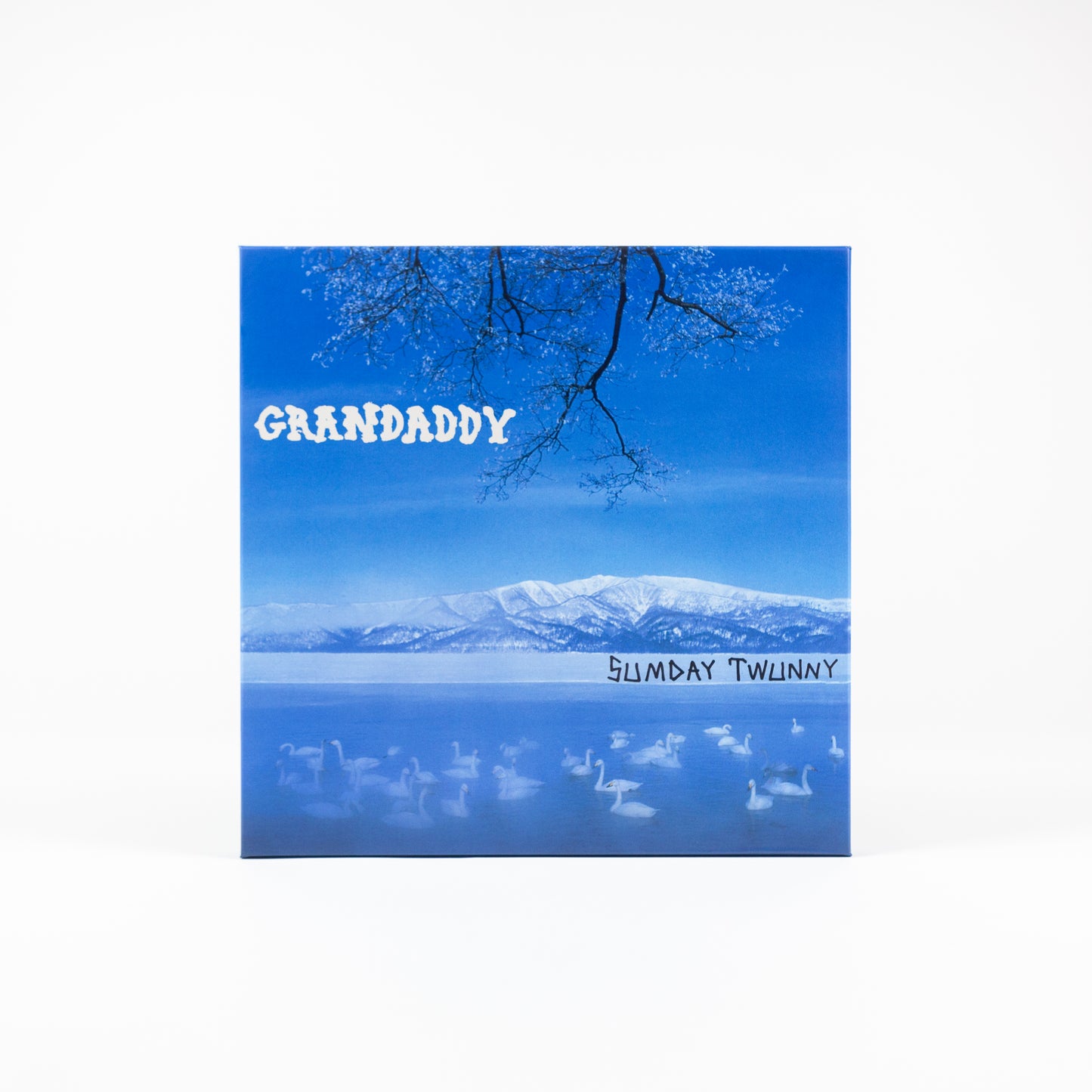 Grandaddy - Sumday Twunny (20th Anniversary Collection) - 4 LP Box Set: Deluxe Bundle