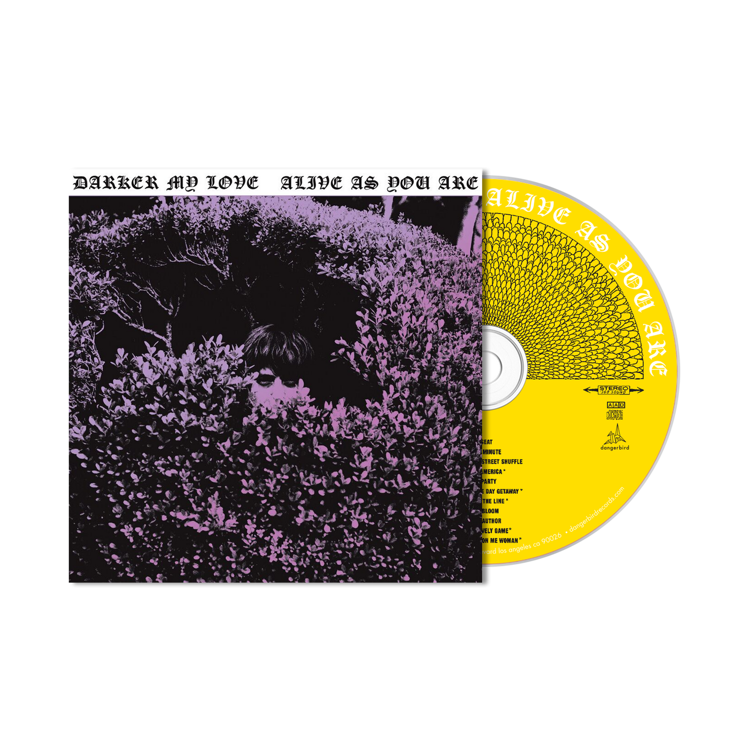 Darker My Love - Alive As You Are - CD